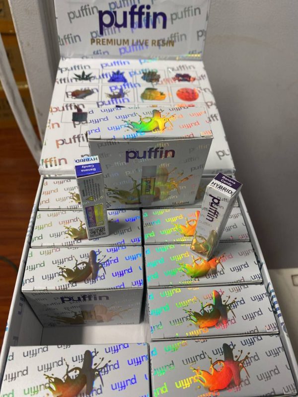 puffins carts, puffin carts, puffin disposable, buy puffin carts, puffin disposable vape, puffin disposable carts, puffin cartridge, puffin premium live resin, puffin carts real or fake, puffin disposable reviews, puffin carts reviews, puffin disposable live resin, puffin live resin disposable, puffin dispo, best of puffin disposable, puffin carts flavors
